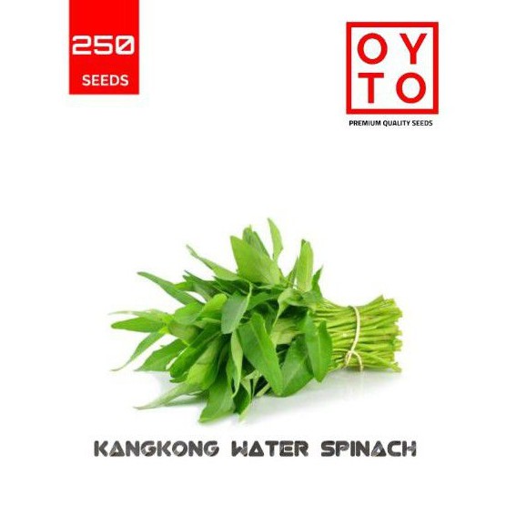 BENIH KANGKUNG BIBIT SAYURAN BENIH TANAMAN  HIDROPONIK F1