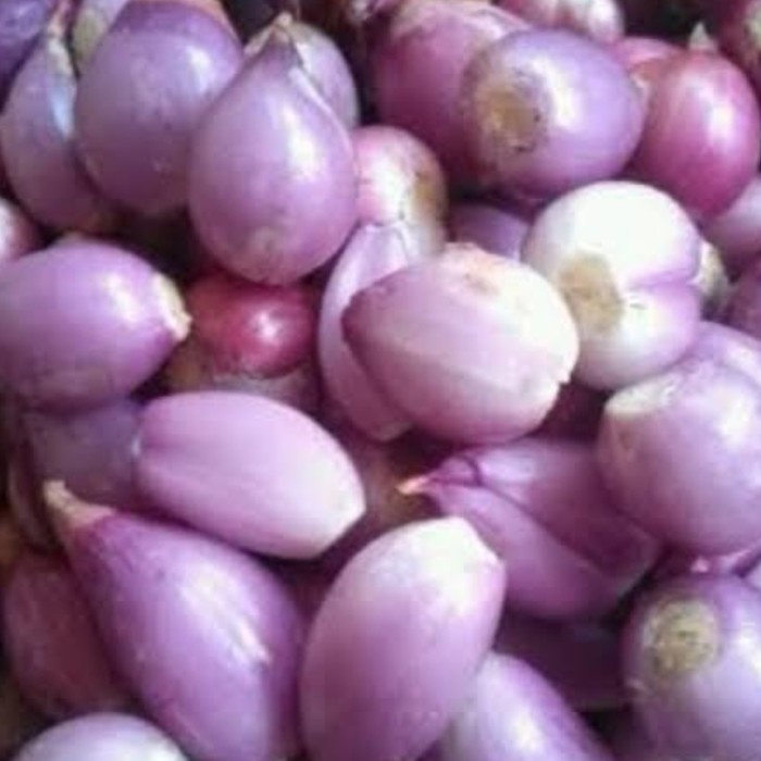 

bawang merah kupas bima enrekang pasar online makassar