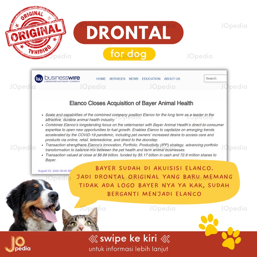 DRONTAL DOG Obat Cacing Anjing Drontal Plus Tasty Exp 2025 Elanco Ecer 1 Tablet