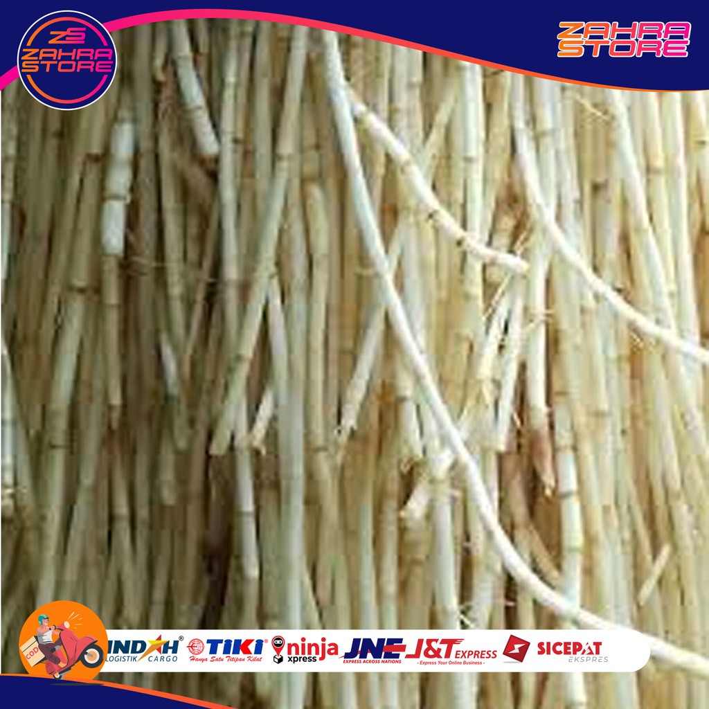 

AKAR ALANG-ALANG SEGAR 500gr zs