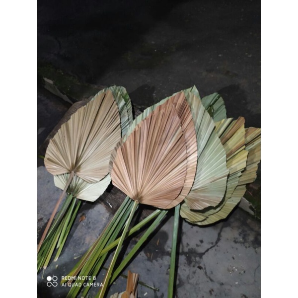 Daun palem kering, daun rustic, daun palem coklat natural dan gold