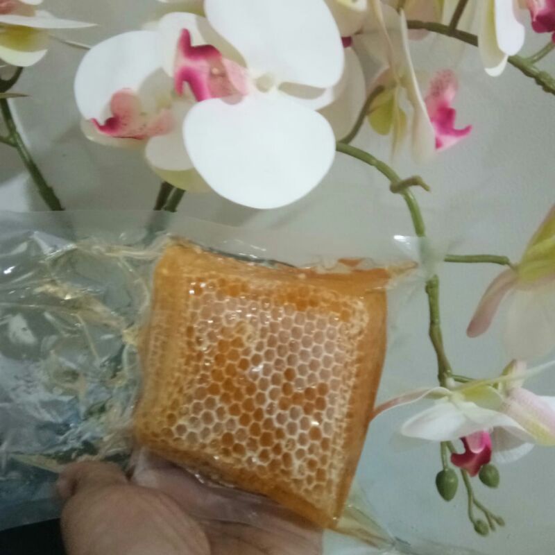

Madu sarang apis melifera 500 gram