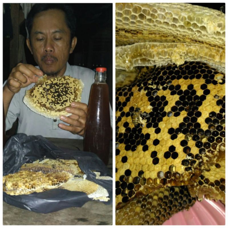 

madu alam asli no tipu2
