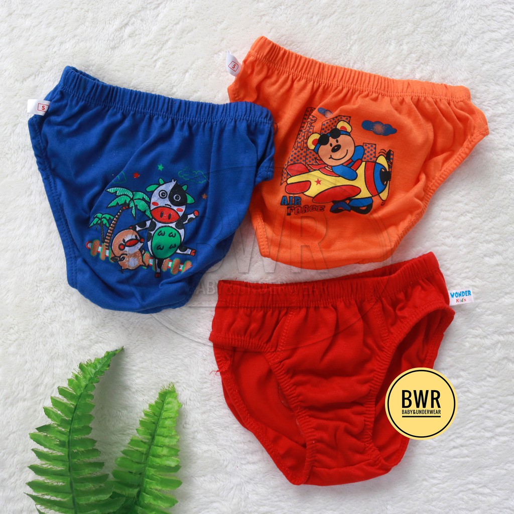 [ 3pc ] CD Wonder Kids WARNA | Celana Dalam Anak Laki-laki Motif Sablon - Bwr