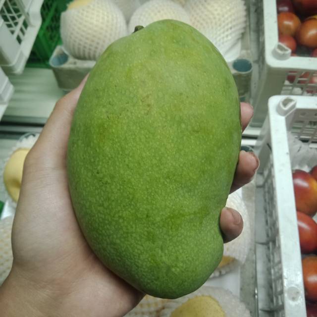 

Mangga Harum Manis dijamin manis