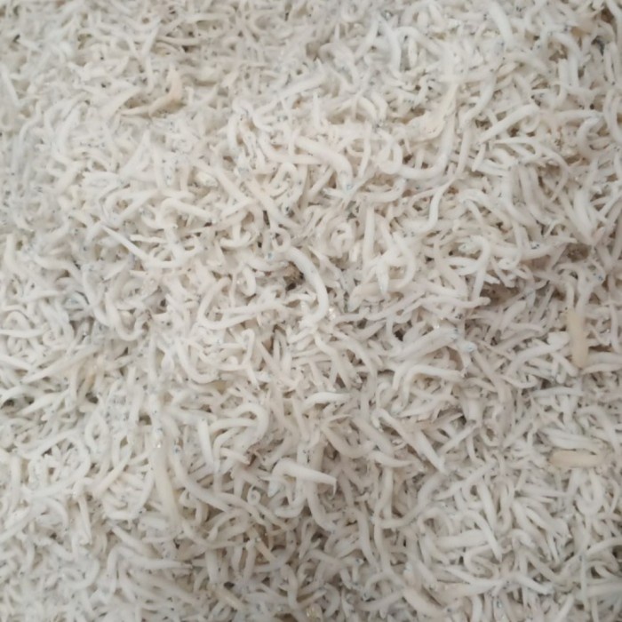 

Ikan Asin Teri Nasi Medan 1 Kg Fresh