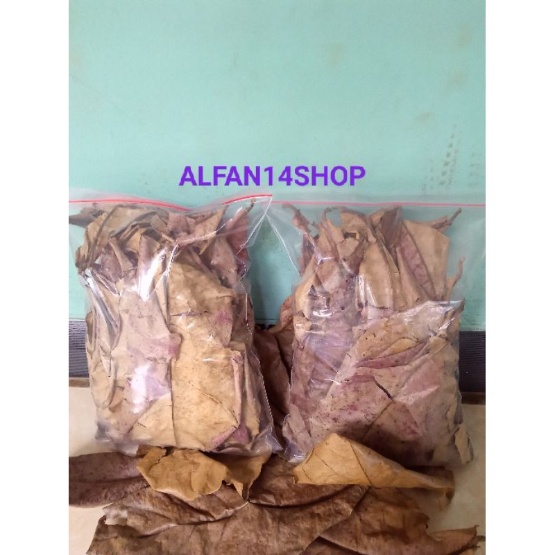 Daun ketapang daun ketapang kering daun ketapang olahan daun ketapang lembaran daun ketapang 150 gr