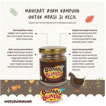 BUMBU BUNDA by Elia Kaldu MPASI Bayi Homemade Kaldu Non MSG Kaldu Jamur Slow Cooker Food Powder 50 gram MPASI Bayi Kaldu Pawon ibun Kaldu Maseko Kaldu AIKO Kaldu Bumboo Kaldu Alsultan MPASI