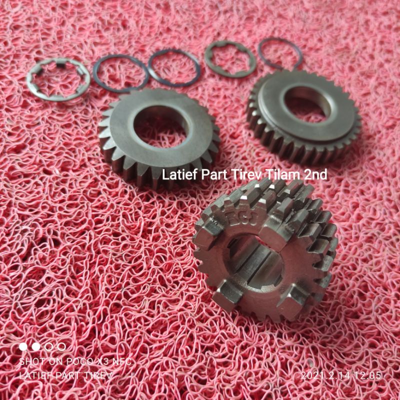 Rasio Tiger gigi 3 4