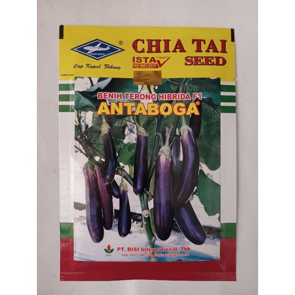 BENIH BIBIT TERONG UNGU ANTABOGA F1 10 GR
