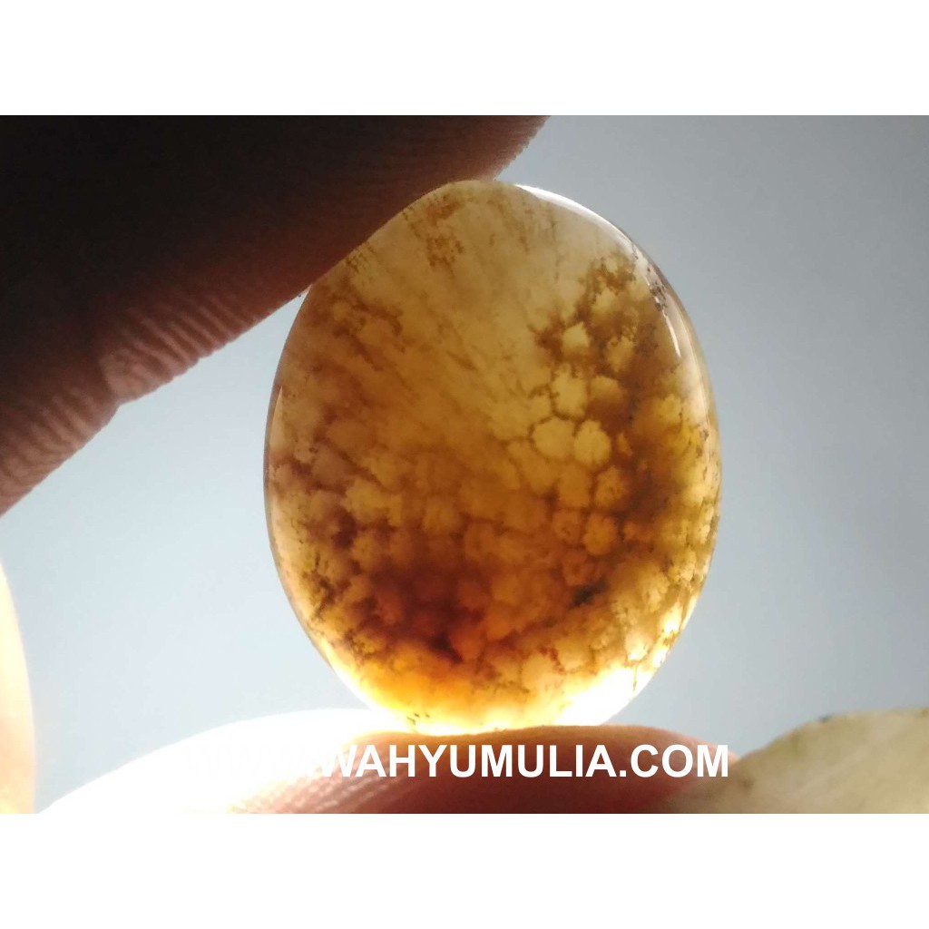 Batu Akik Sisik Naga Asli (Kode:592)