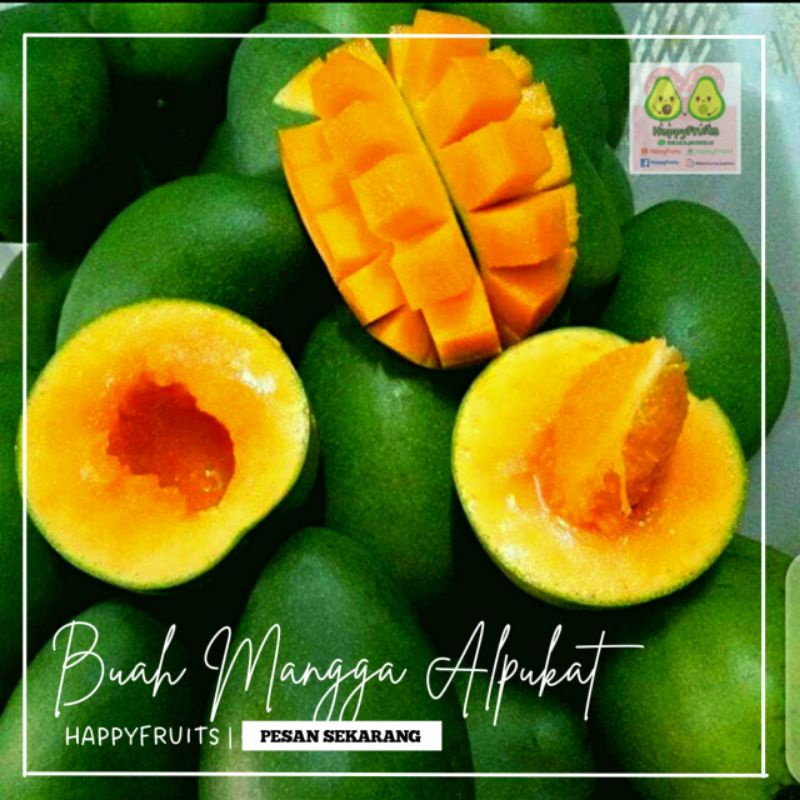 

BUAH MANGGA ALPUKAT 1KG