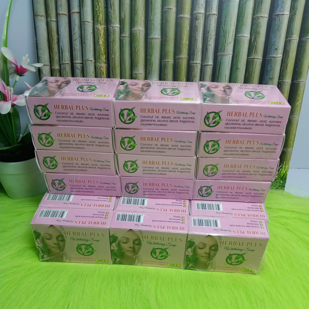 PAKET SABUN + TONER HERBAL PLUS ORIGINAL (✔️BPOM)