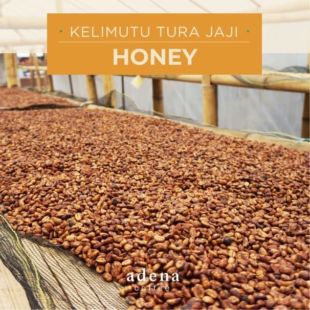 

(BISA COD) Green Bean Arabica Flores Kelimutu Tura Jaji Honey 1kg