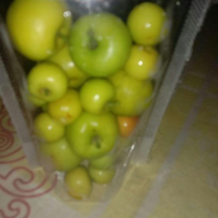 

NLPU buah bidara arab asli fresh langsung di petik isi 35 buah 697MGGE