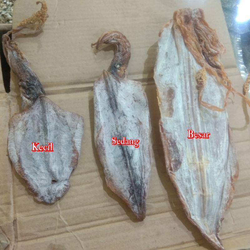 

Sotong Kering Pontianak (±250) Cumi Kering / Cumi-Cumi / Jiu He / Juhi / Dried Squid