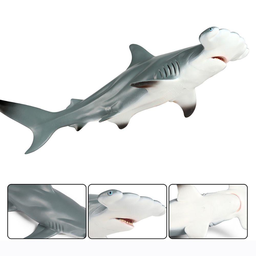 Top Hammerhead Shark Model Nature Kids Cognition Belajar Dini Organisme Laut