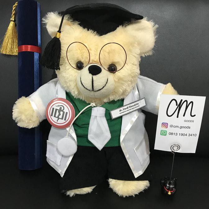 Boneka Profesi / Wisuda Dokter +-40cm with stetoskop & kacamata Stok