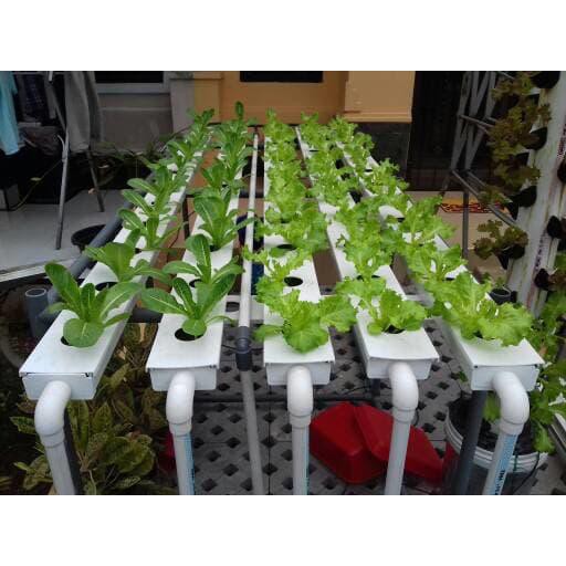 Irigasi Air | Talang Gully Hidroponik Isano Paket 120Cm Komplit