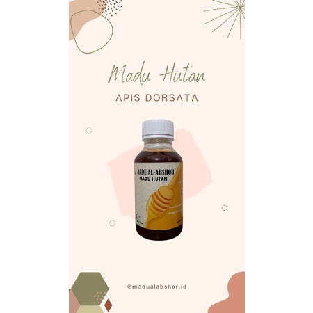 

Madu Hutan Apis Dorsata 500ml MADU AL ABSOR