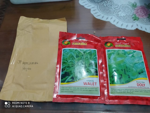 Isi 100 Gram Bibit Bayam Hijau Doly | Benih Bayam | Bibit Sayuran | Bibit Unggul Jawara