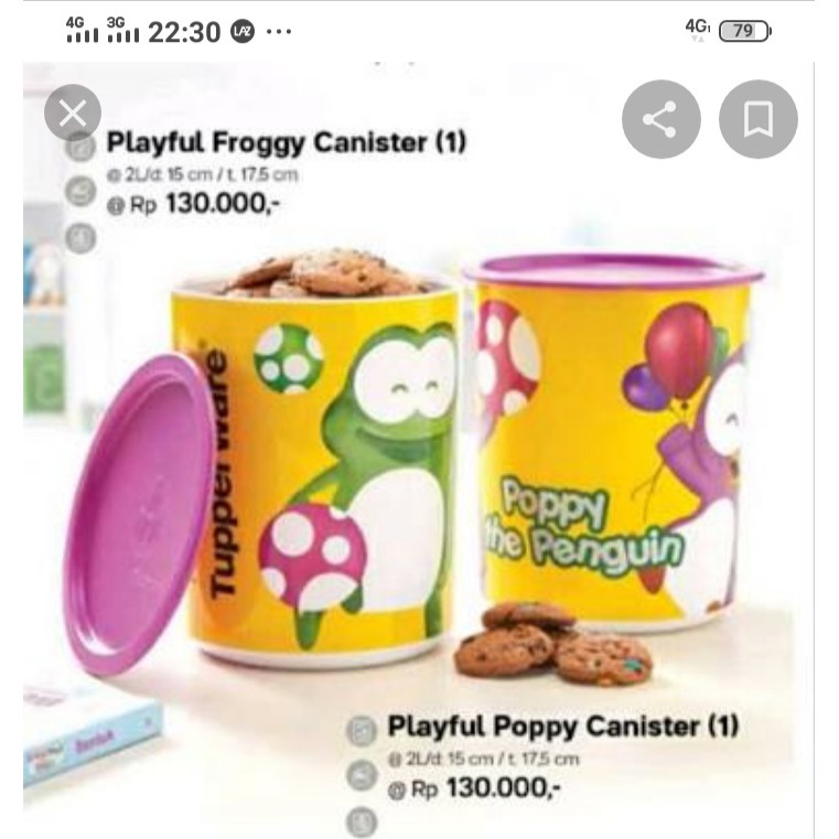 PLAYFUL FROGGY CANISTER