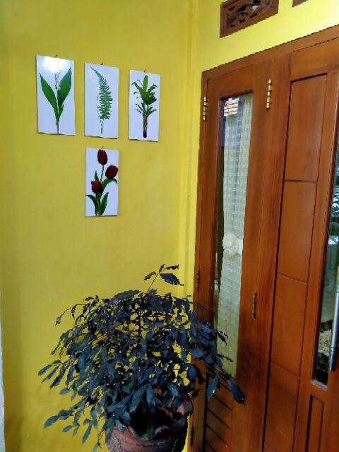 Fasahaya Hiasan Dinding Poster Kayu Leaf Dekorasi Rumah 15x30 Lf 28