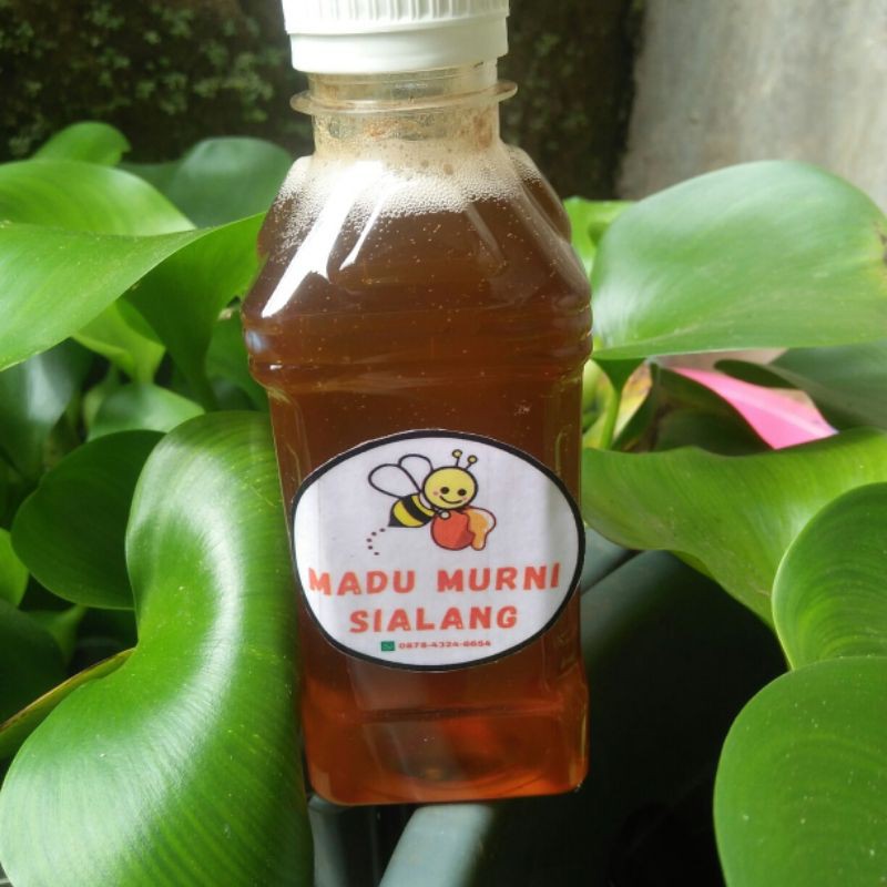 

Madu Raw Honey (Dorsata)