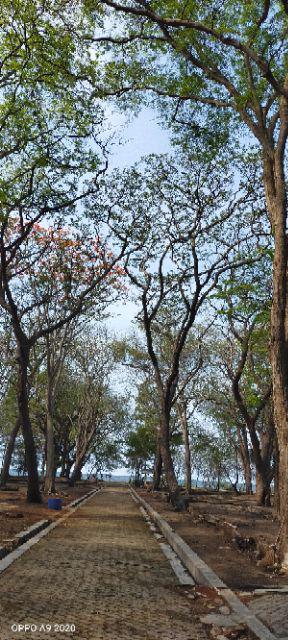 2000pcs Mika Gx3 Gosyen Tempat Risol Kue Makanan Kering Gojek Grosir