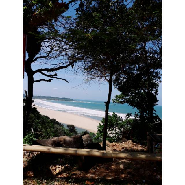 renisahadelaalrasyid