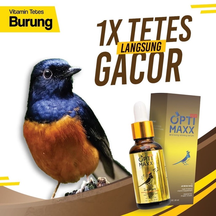 Vitamin Burung - Optimaxx Serum Vitamin Penggacor Burung Original Terlaris