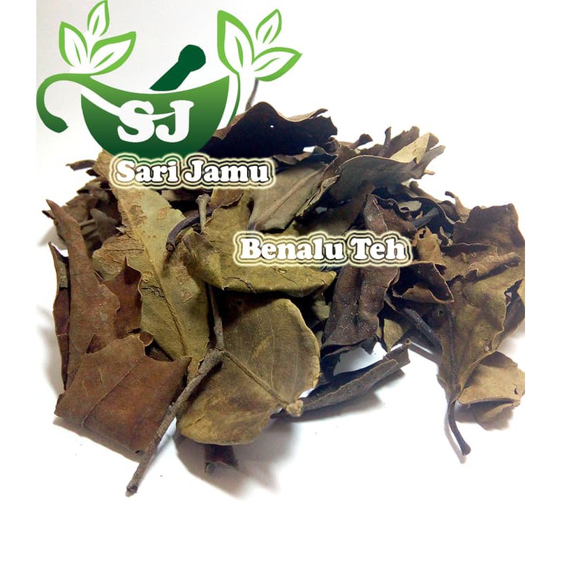 Jamu Herbal Tradisional Daun Benalu Teh 500 Gr Untuk Kanker-Epilepsi - ju422