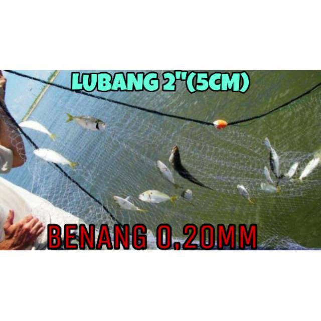 JARING IKAN 2" BENANG 0,20MM 5MX95M