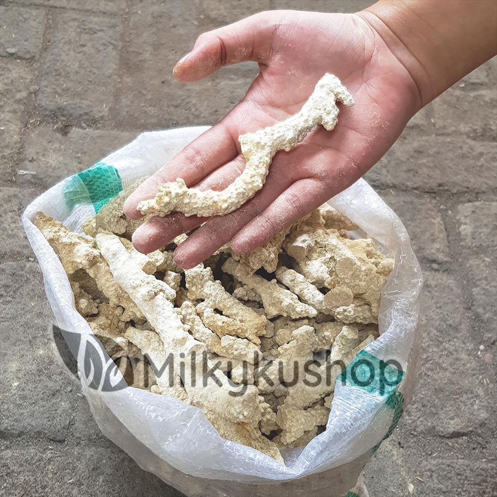BATU KARANG JAHE - MEDIA FILTER KOLAM AQUASCAPE VIA CARGO