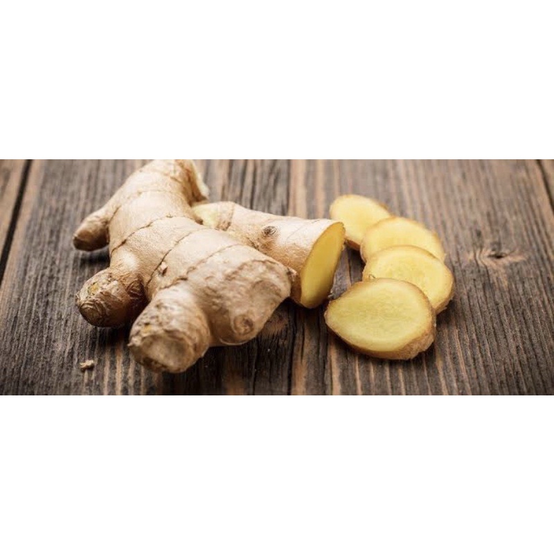 

jahe putih / 1 kilogram / fresh / bumbu / rempah