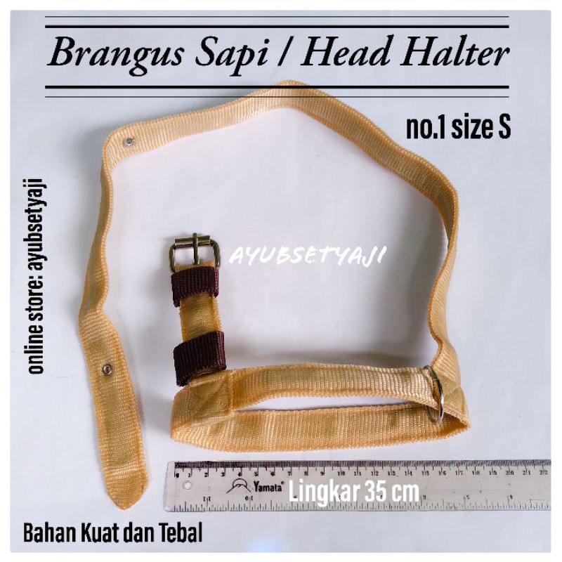 Brangus Sapi Head Halter size S sapi kambing kuda Tali ikat kepala tali tuntun aksesoris helter kalu