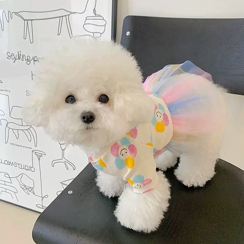 Lola tutu rainbow korea dress