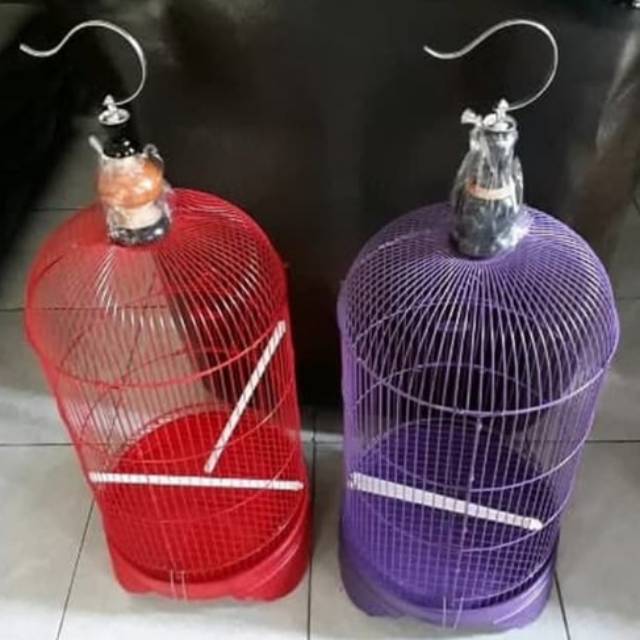 Kandang Lovebird panda warna - kandang kapsul lovebird
