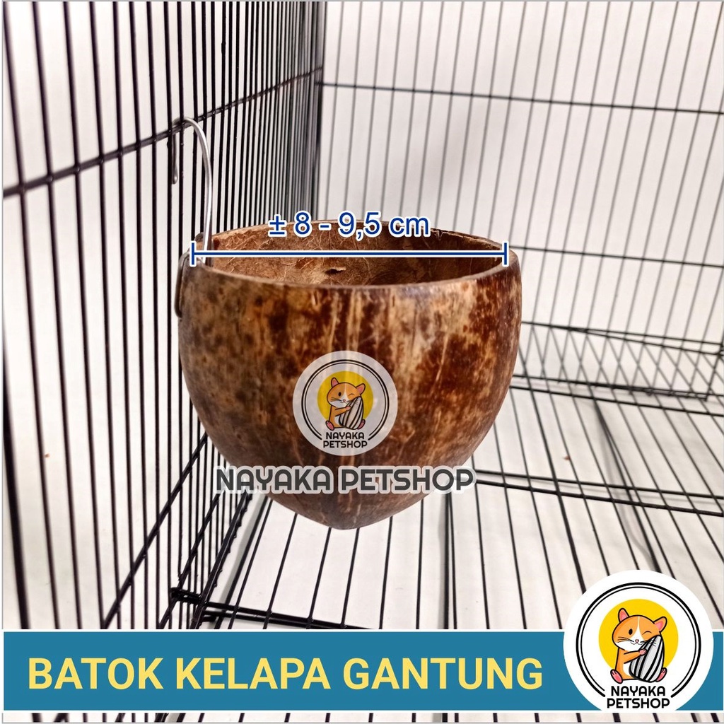 Batok Kelapa Sleeping Pouch Sugar Glider Hanging Pouch Tempurung Gantung Tempat Pakan Minum Hewan