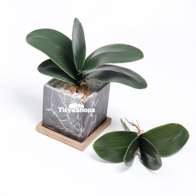 Daun Anggrek Latex / Daun Hias Artificial