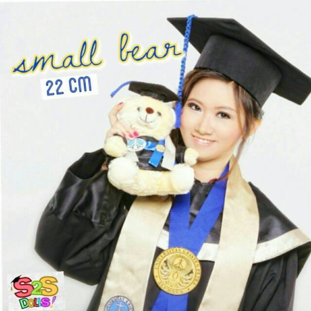 Boneka Wisuda Beruang (UI, UBAYA, PETRA, UPH, BINUS, dll)