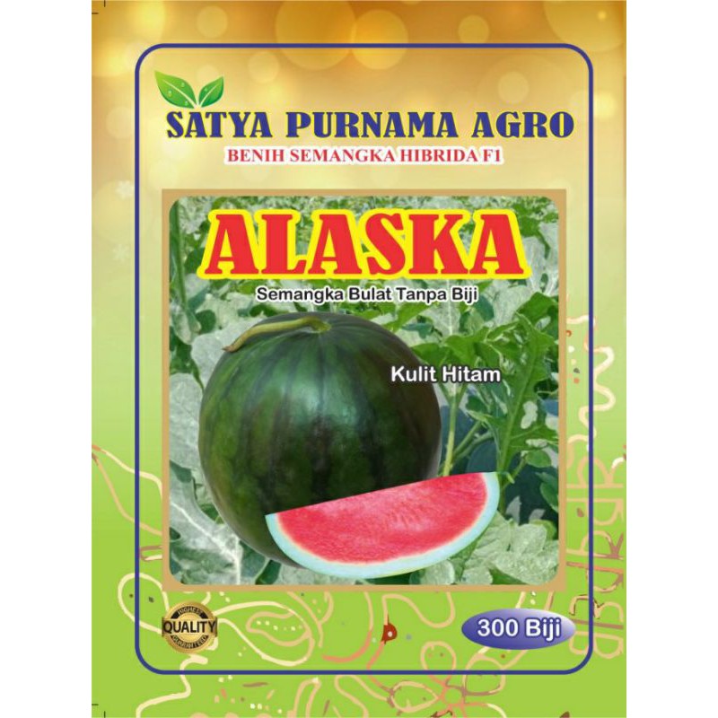 Benih Semangka non biji kulit hitam