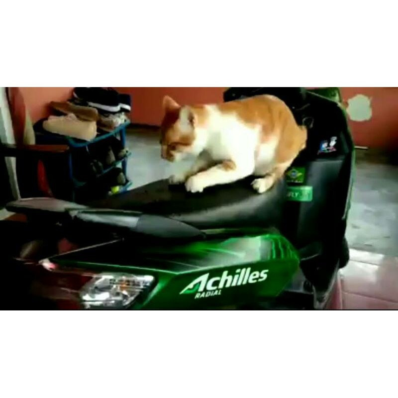 Cover Jok Sarung Penahan CAKARAN KUCING NMAX PCX AEROX VARIO SCOOPY Beat Genio  Mio Spacy Universal