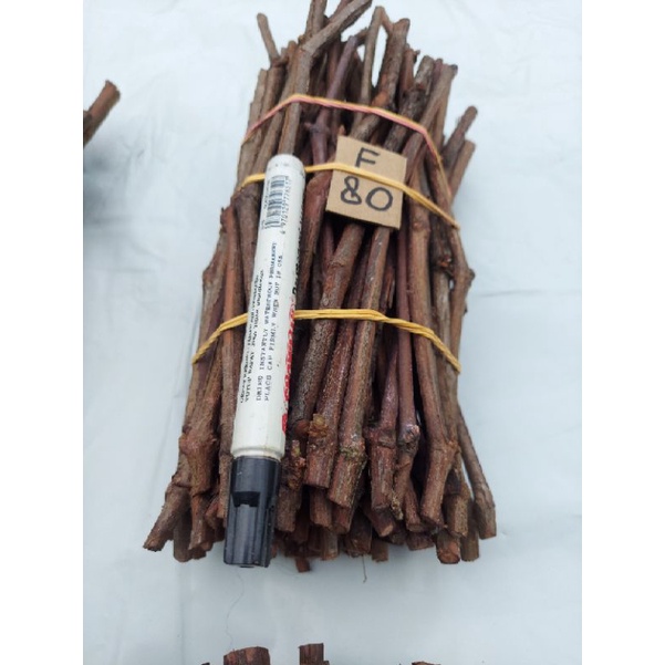 cutting anggur isabela khusus batang bawah 1kg