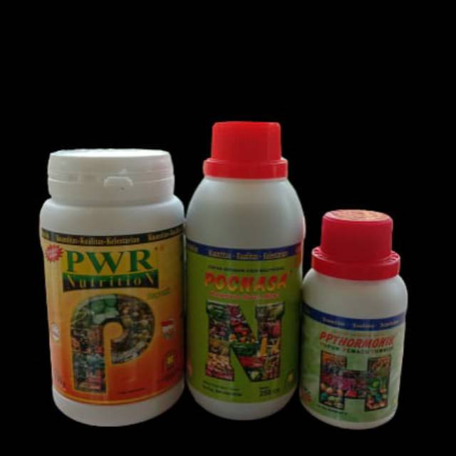 pupuk perangsang buah