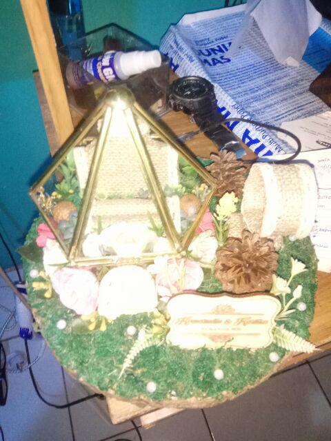 Kotak Mahar Terrarium Tws - Kgc