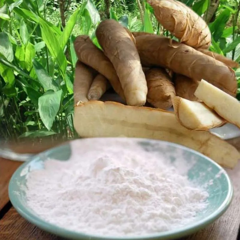 

TEPUNG GARUT/PATI ASAM LAMBUNG/ANGKRIK /ARROWROOT 500Gr/PATI KERUT/PATI LERUT/OBAT MAAG