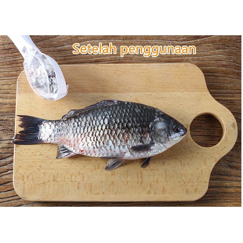 Alat dapur rumah tangga dengan penutup ketam sisik ikan, pengikis sisik sisik ikan dapur, artefak sisik ikan manual, pengikis peralatan dapur sisik ikan