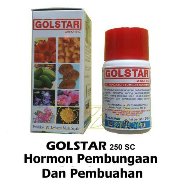 GOLSTAR 250 SC pupuk perangsang pembungaan dan pembuahan