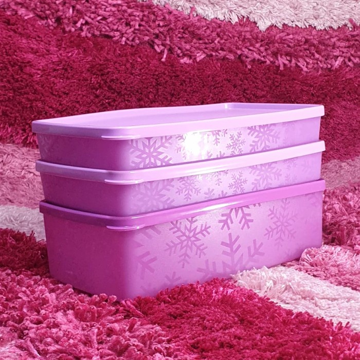 Frozen Rectangular Set Tupperware